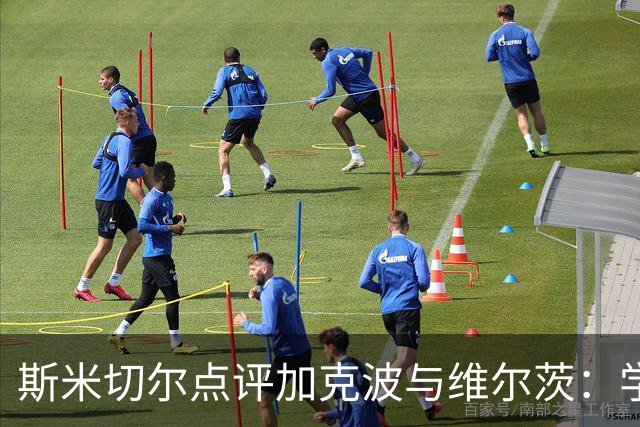 斯米切尔点评加克波与维尔茨：学习与适应是关键